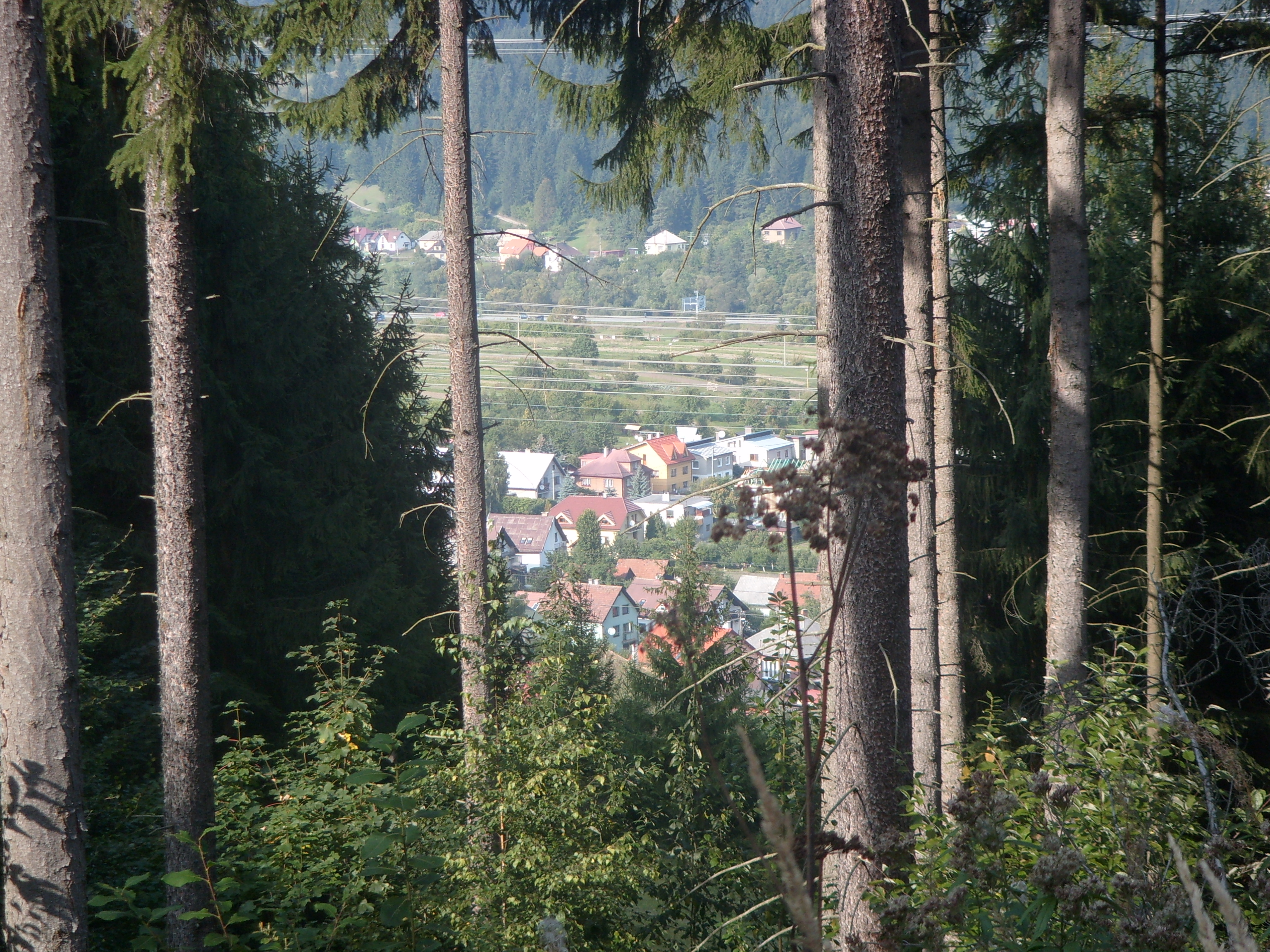 060.JPG